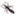 promiselandfossils.com
