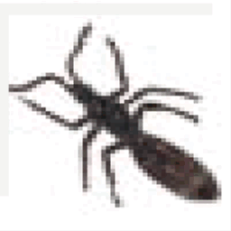 promiselandfossils.com