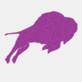 arabicbookslondon.com