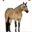 michiganbuckskin.net