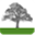 steveyoungtreeservice.com