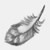 fingerspitzengefuehl.ch