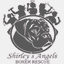 shirleysboxers.org
