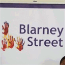 blarneystreet.scoilnet.ie