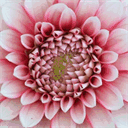 glennmackstudio.com