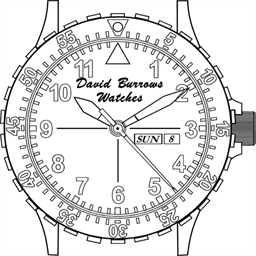 davidburrowswatches.com