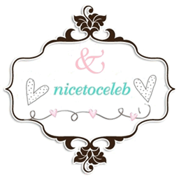 nicetoceleb.com