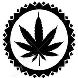 denvermarijuanaonline.com