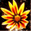 abeautifulseed.wordpress.com