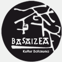 basaizea.com