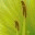 howtoliveonearth.wordpress.com