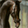 equiline.over-blog.fr