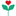 germoglisani.com