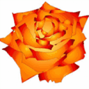 ncoweb.org