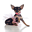 chitose-net.com
