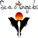 seaangels.org