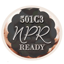 501c3nonprofitready.com