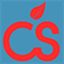 cscc.nl