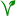 veginoc.com