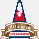 lmaauctions.com