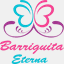 barriguitaeterna.com