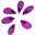 purpledaisies.co.uk