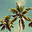 blomsterbutikenhoganas.com