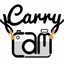 carrycam-carteblanche.strikingly.com