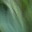 meanderw.wordpress.com