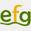 ecofogar.com