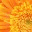 mynookandpickles.wordpress.com