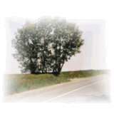 chazzanklang.com