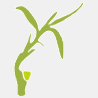 arabhopeministries.org