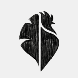 davedehaan.com