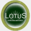 f-lotus.net