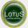 f-lotus.net