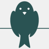 coy.co.uk