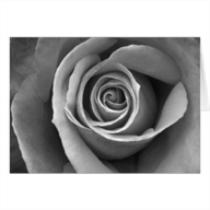 fleuristealaclairefontaine.com