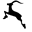 cursapanxampla.com