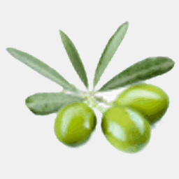 frantoiobattaglini.it