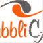 pubblicab.wordpress.com