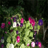 buffalobusinessbrokers.net