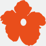 floristeriajauja.com