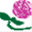 rosarium-hechinger.de