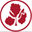 orquideaonline.de