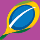 seniorsbrasil.com.br