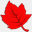 arborworks.ca