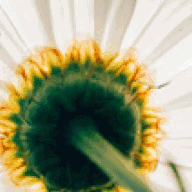 coastalhomehealthandhospice.com