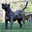 digitaldoris.com