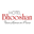 hotelbhooshan.com